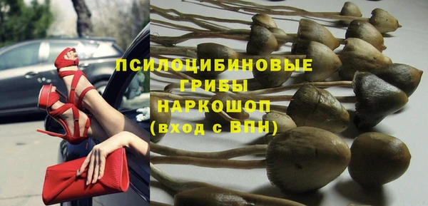 стафф Абаза